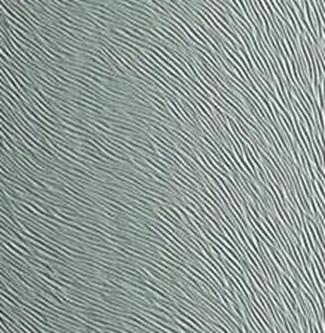 antilope